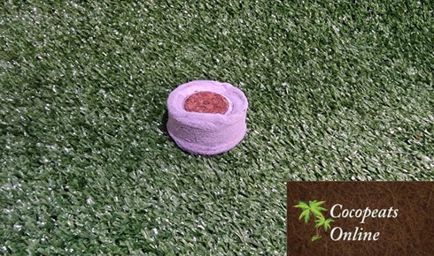 Cocopeats Online coco peat pellets Coir Pellets 38mm